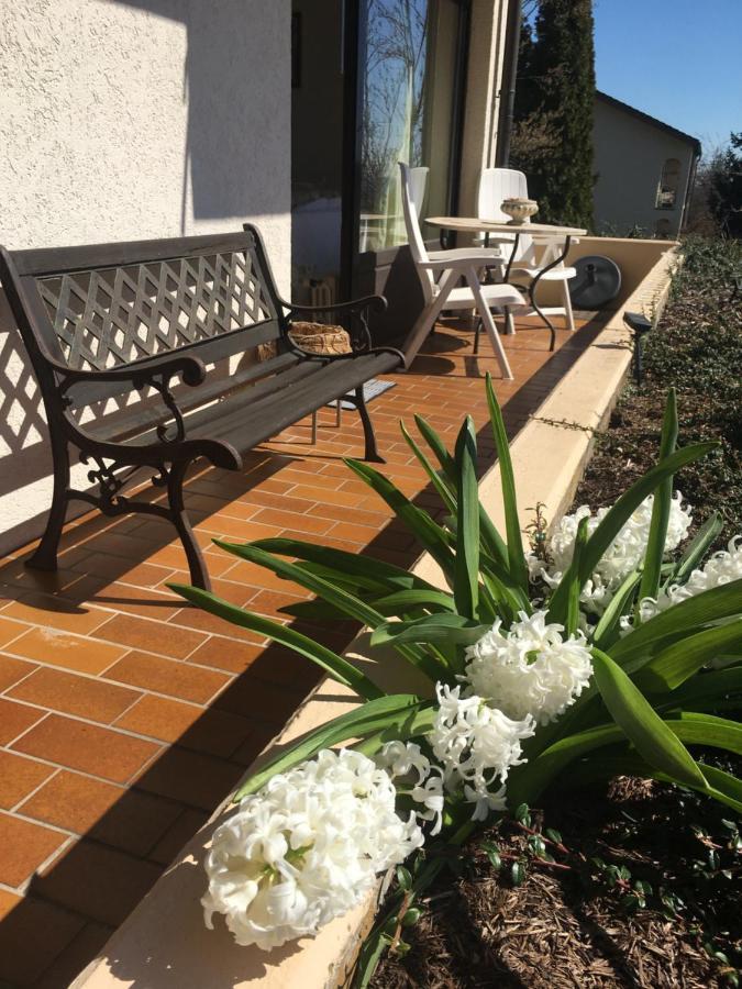 Exklusives Apartment In Bad Saeckingen Fuer 2 Person Exteriör bild